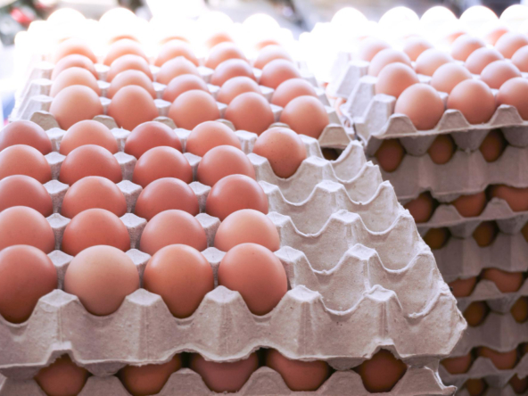 Attività di produzione di uova e pollame